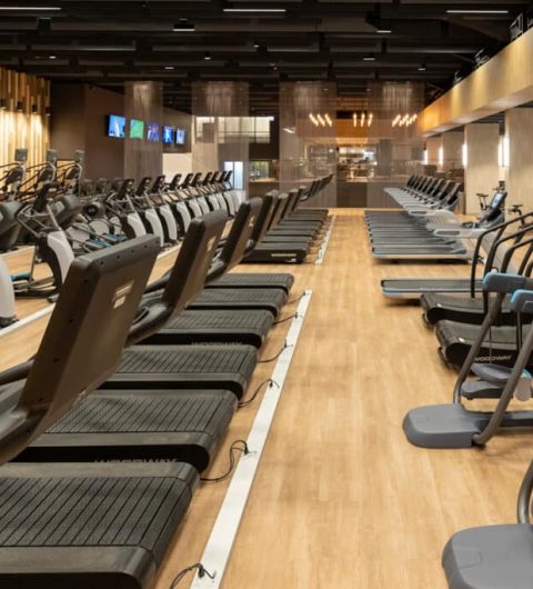 Gym and Fitness Centers Gym and Fitness Centers